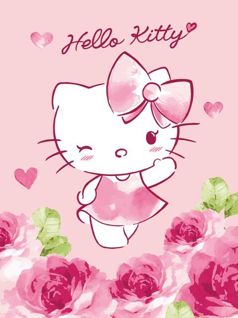 Hello Kitty Filt Flecce