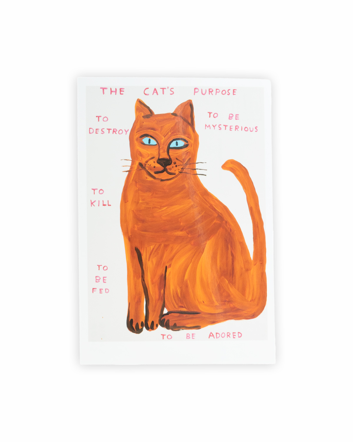 Kort, The Cat's Purpose, David Shrigley 