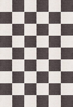 Chess Black and White
