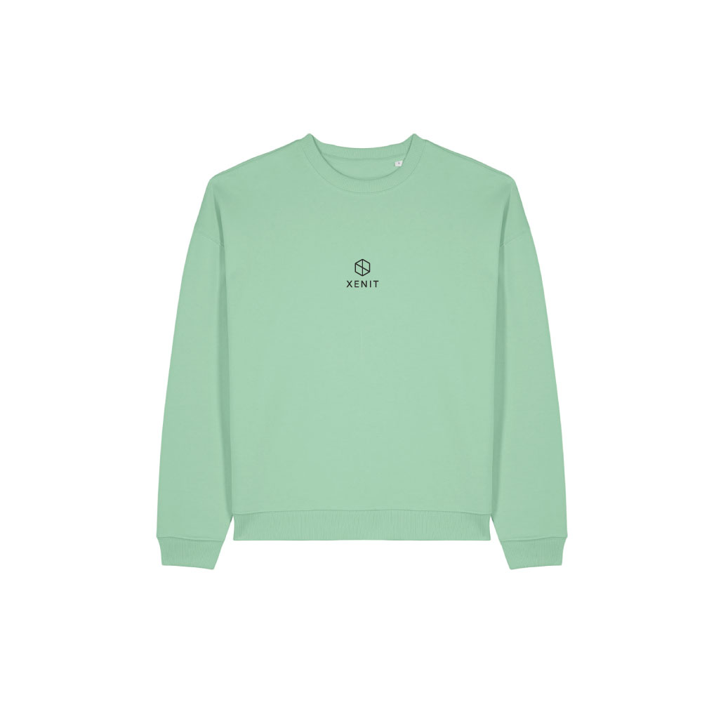 Xenit Oversize Sweatshirt - 4