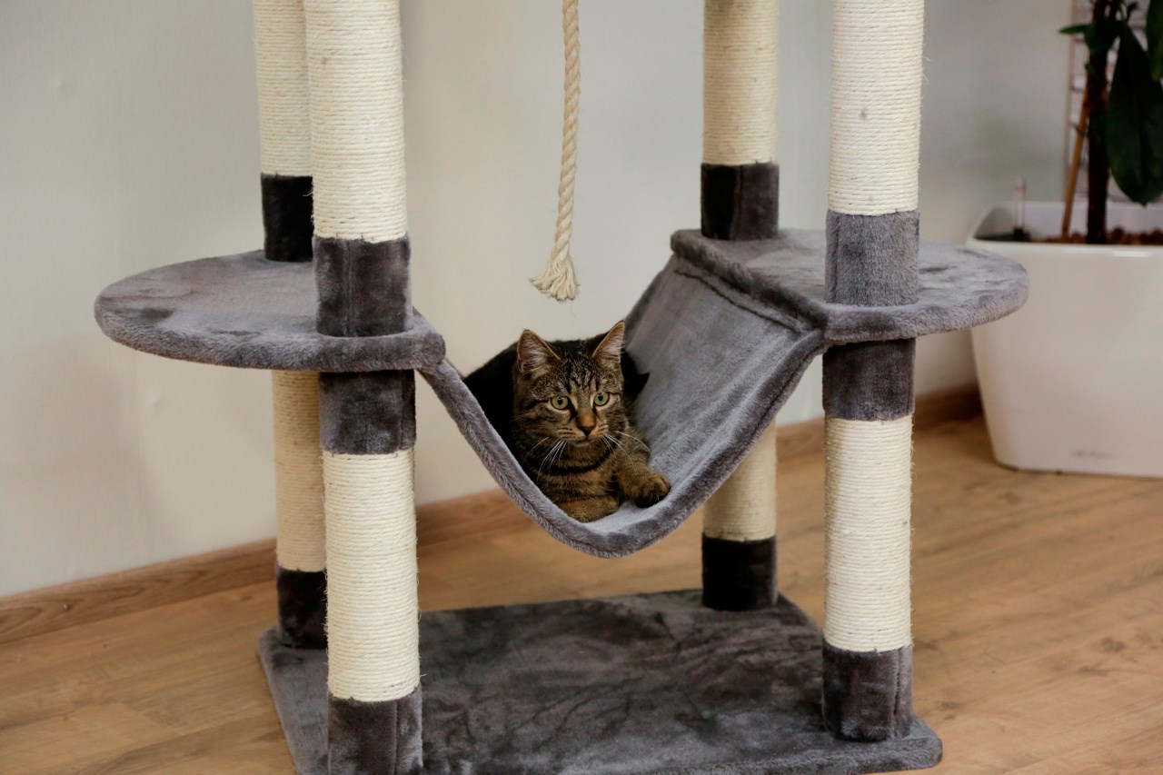Kerbl Cat Tree Matteo - Durable