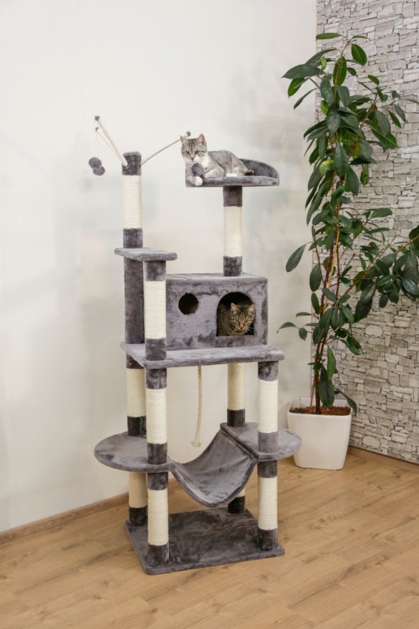 Kerbl Katte Tre Matteo - Grå - 7