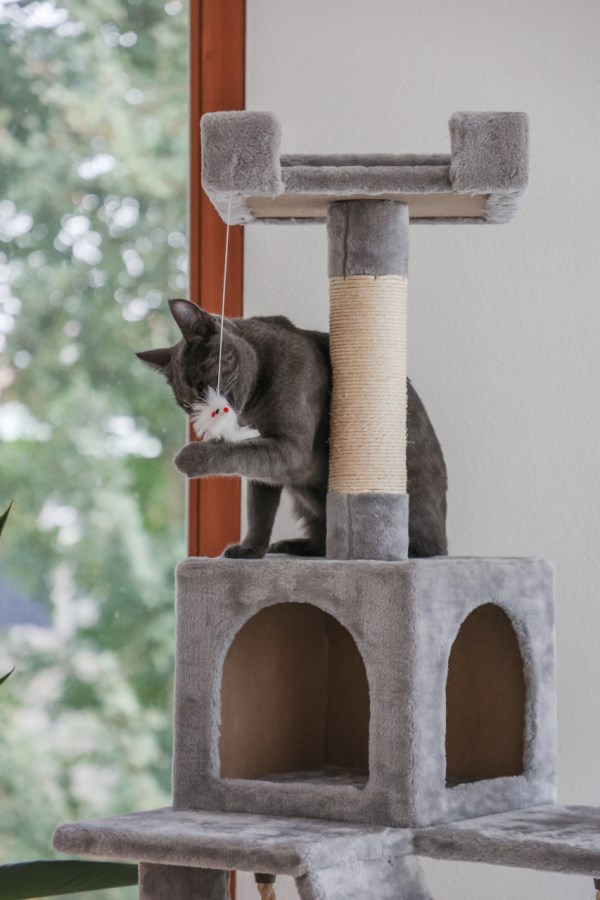 Kerbl Cat Tree Square - Light Grey - 6
