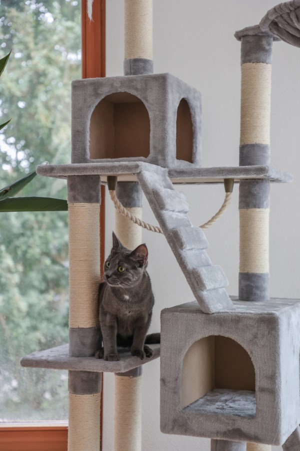 Kerbl Cat Tree Square - Light Grey - 7