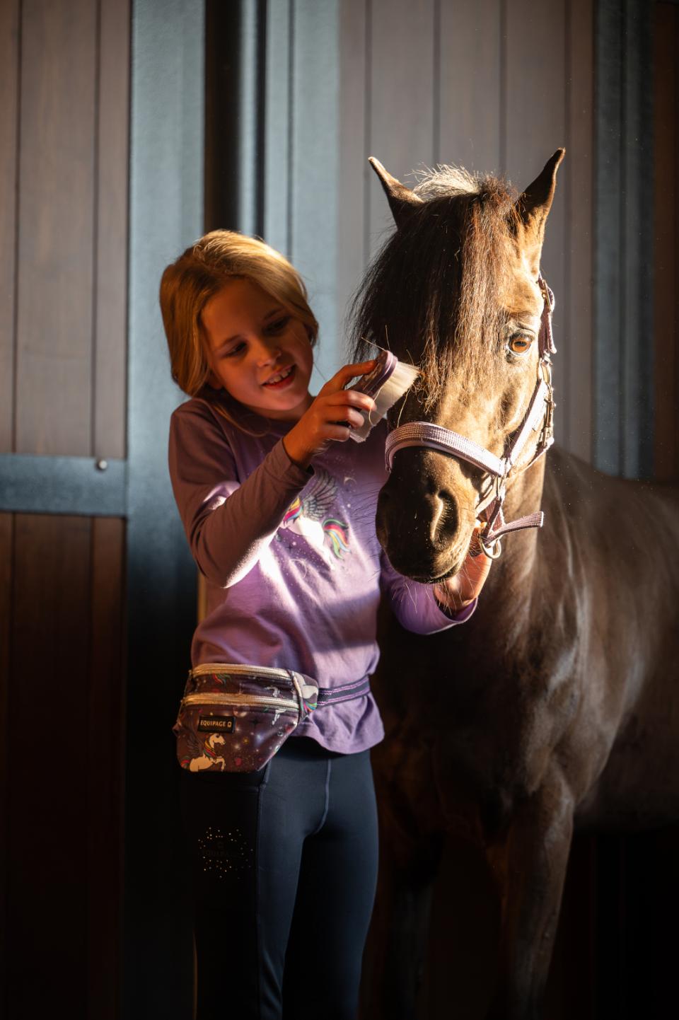 Equipage Jinx Långärmad Tröja Purple Haze - 3