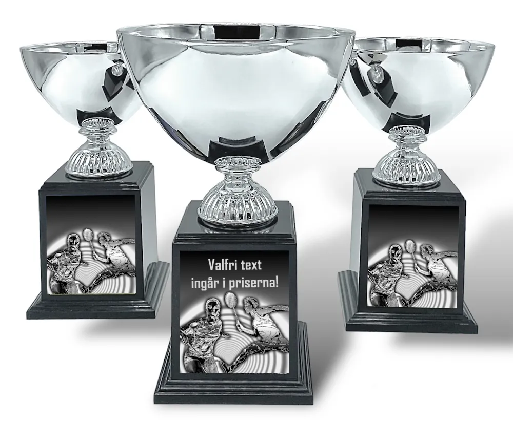 Pokal Deluxe- Badminton