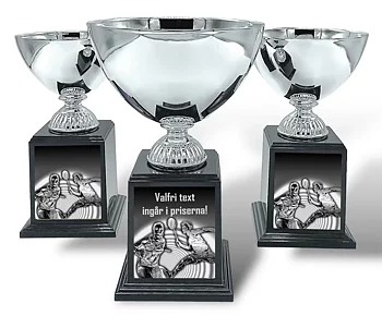 Pokal Deluxe- Badminton