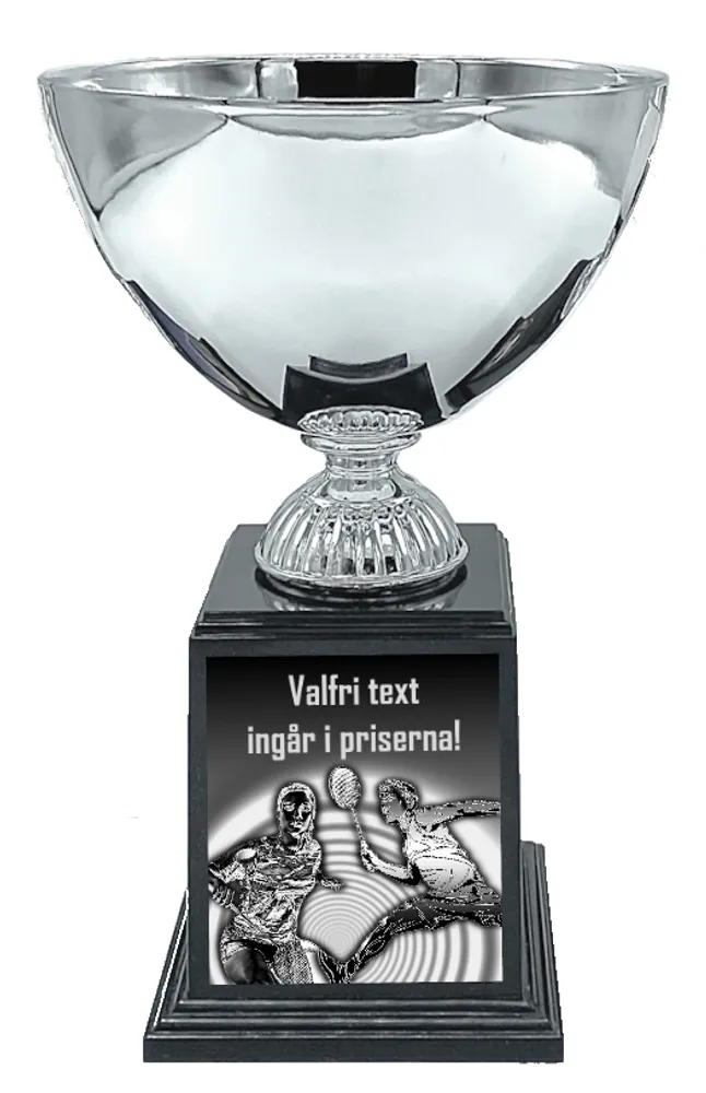 Pokal Deluxe- Badminton - 2