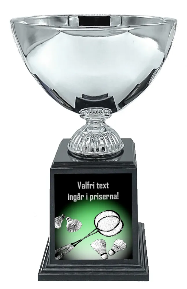 Pokal Deluxe- Badminton 2 - 2