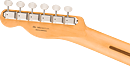Fender Player II Tele HH Rosewood BLK