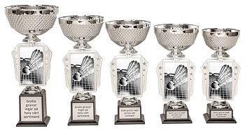 Pokal Action- Badminton