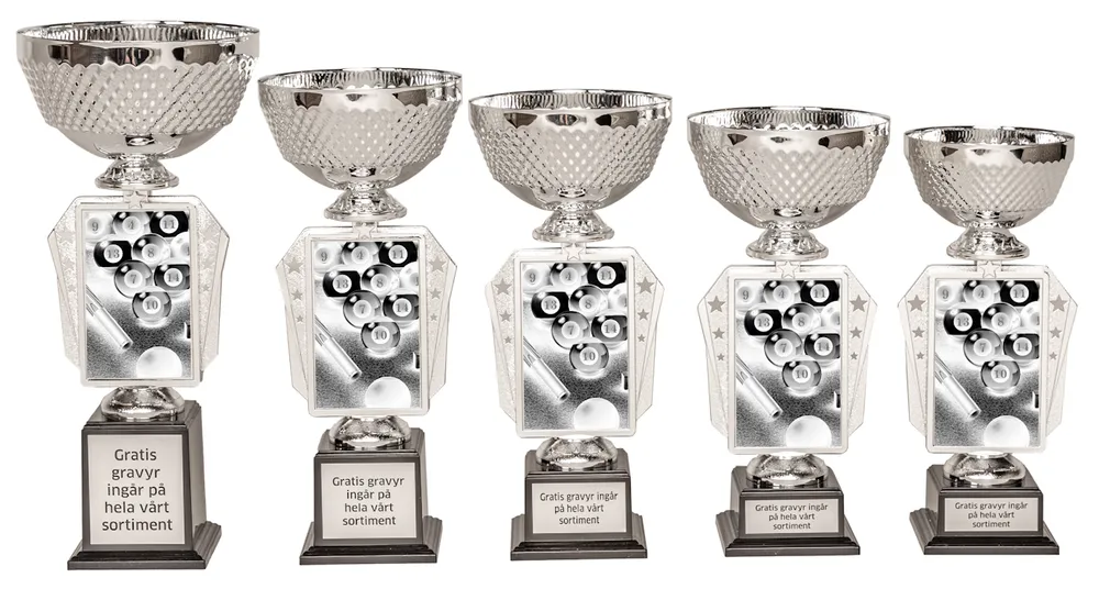 Pokal Action- Biljard
