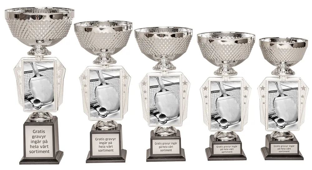 Pokal Action- Bordtennis