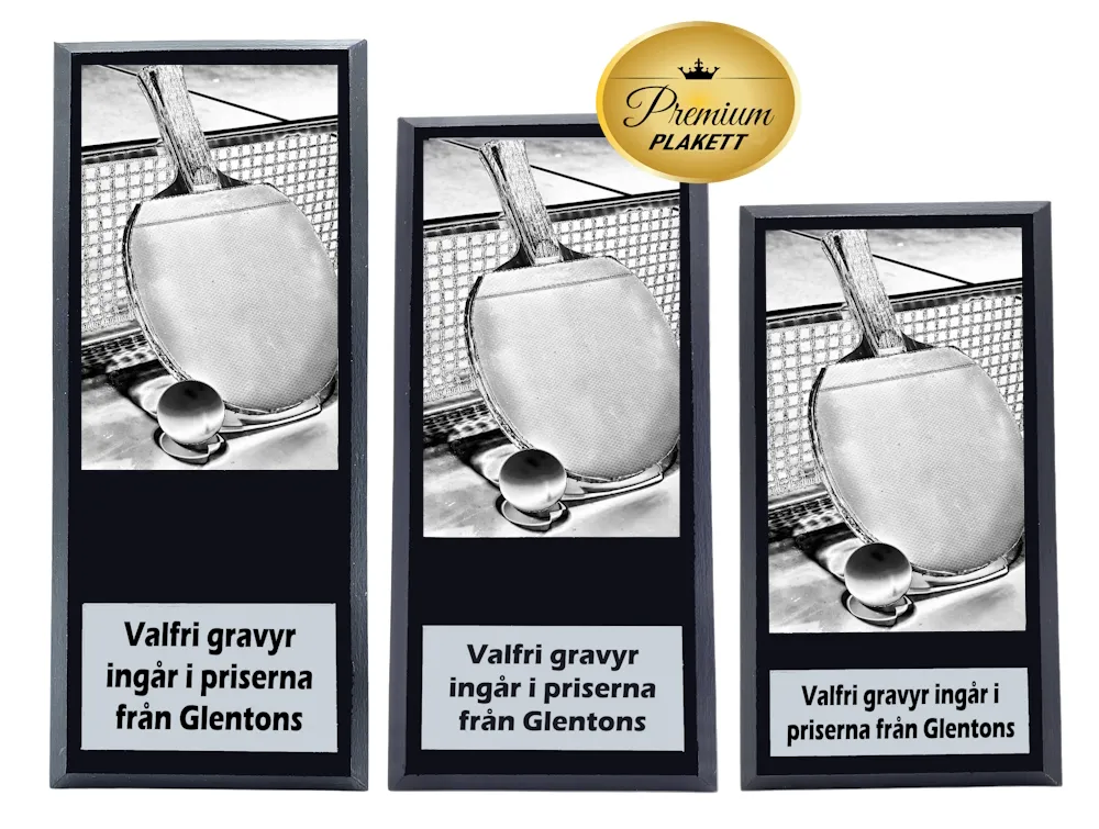 Träplakett premium- Bordtennis