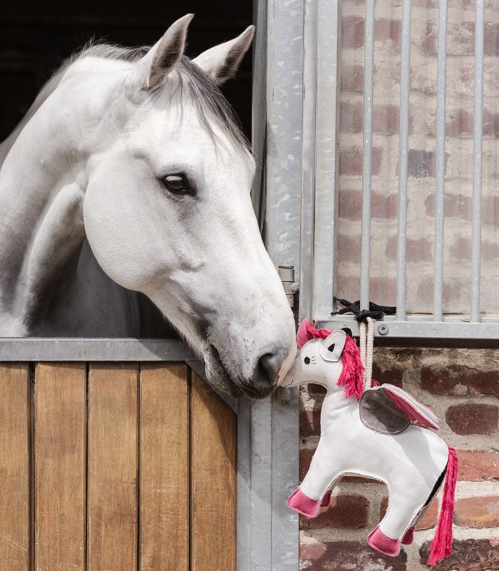 Waldhausen Unicorn Emily Horse Toy - Boredom 