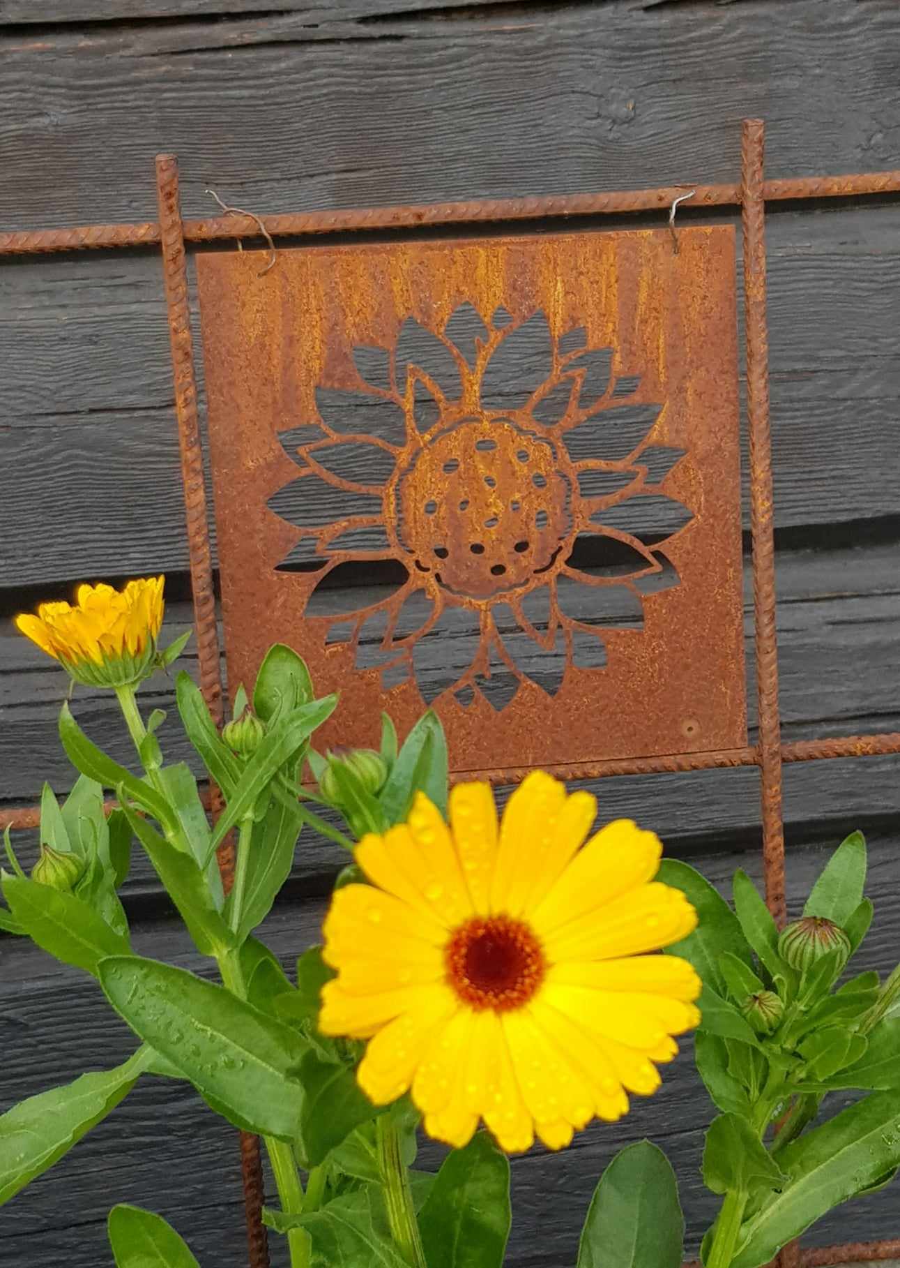 Trädgårdsskylt - Solros