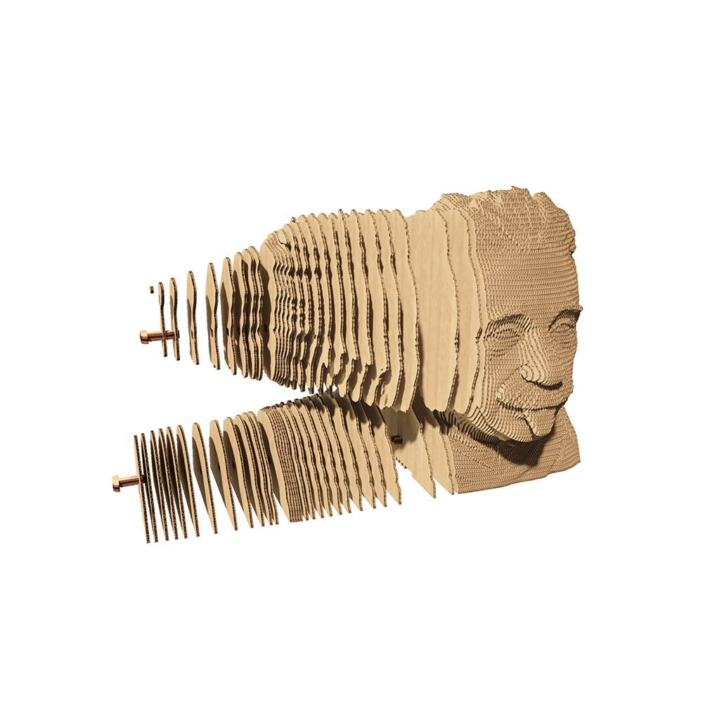 Cartonic 3D byggsats - Einstein