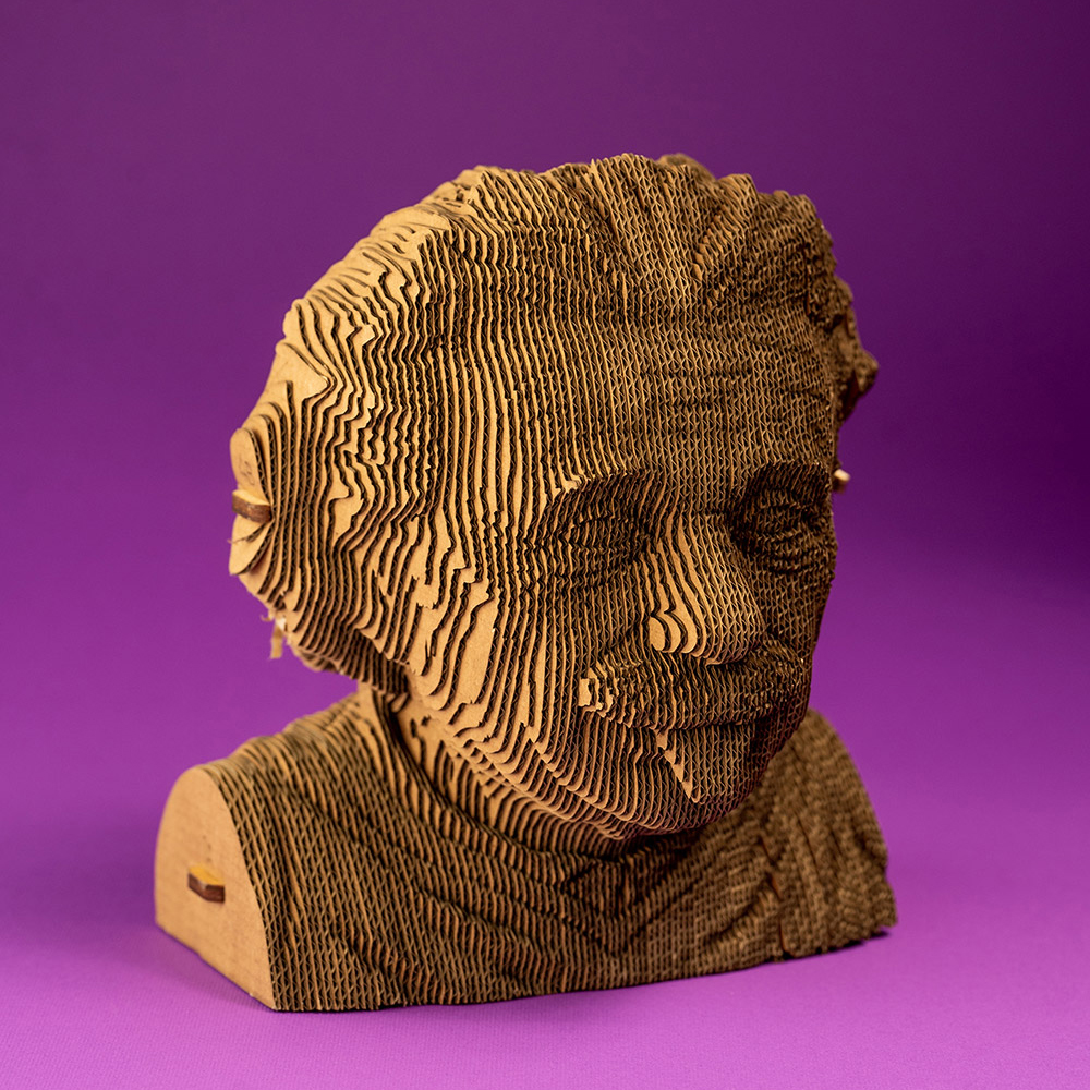 Cartonic 3D byggsats - Einstein - 3