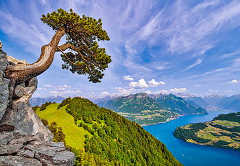 View of the Lake of Uri, Switzerland, puslespil med 1000 brikker (C-105311)