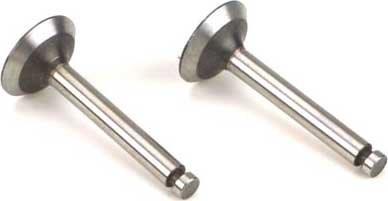 Saito Ventil In/Ut (2) FA-30/40/120, FG-19R3