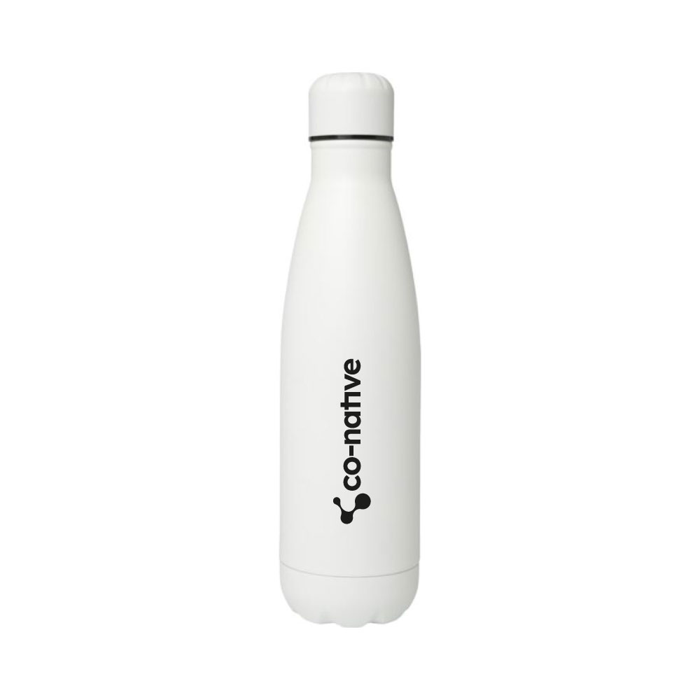 Stainless steel water bottle