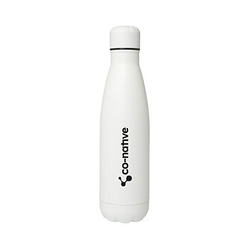 Stainless steel water bottle