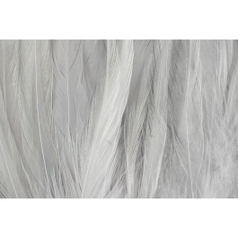 Rooster Saddle Feather - FutureFly  - 15