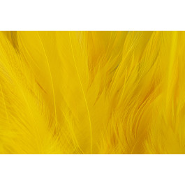 Rooster Saddle Feather - FutureFly  - 13