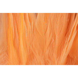 Rooster Saddle Feather - FutureFly  - 10