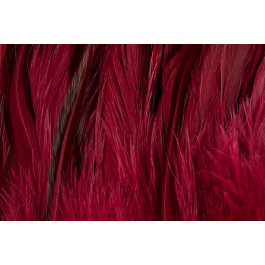 Rooster Saddle Feather - FutureFly  - 14