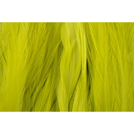 Rooster Saddle Feather - FutureFly  - 6