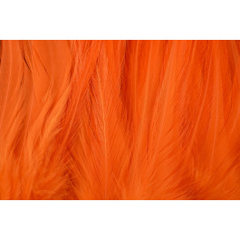 Rooster Saddle Feather - FutureFly  - 7