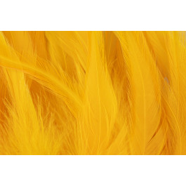 Rooster Saddle Feather - FutureFly  - 16