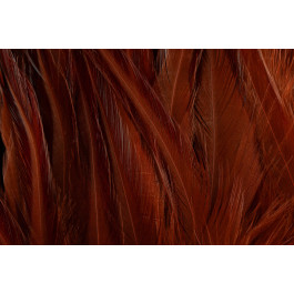 Rooster Saddle Feather - FutureFly  - 5