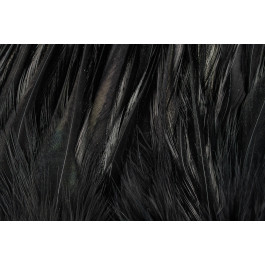 Rooster Saddle Feather - FutureFly  - 2