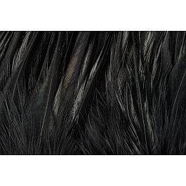 Rooster Saddle Feather - FutureFly 