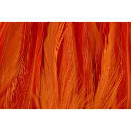 Rooster Saddle Feather - FutureFly  - 4
