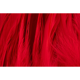 Rooster Saddle Feather - FutureFly  - 9
