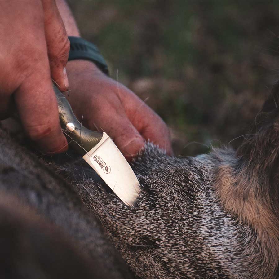 Casström Safari Mini Hunter, Svart G10 - 4