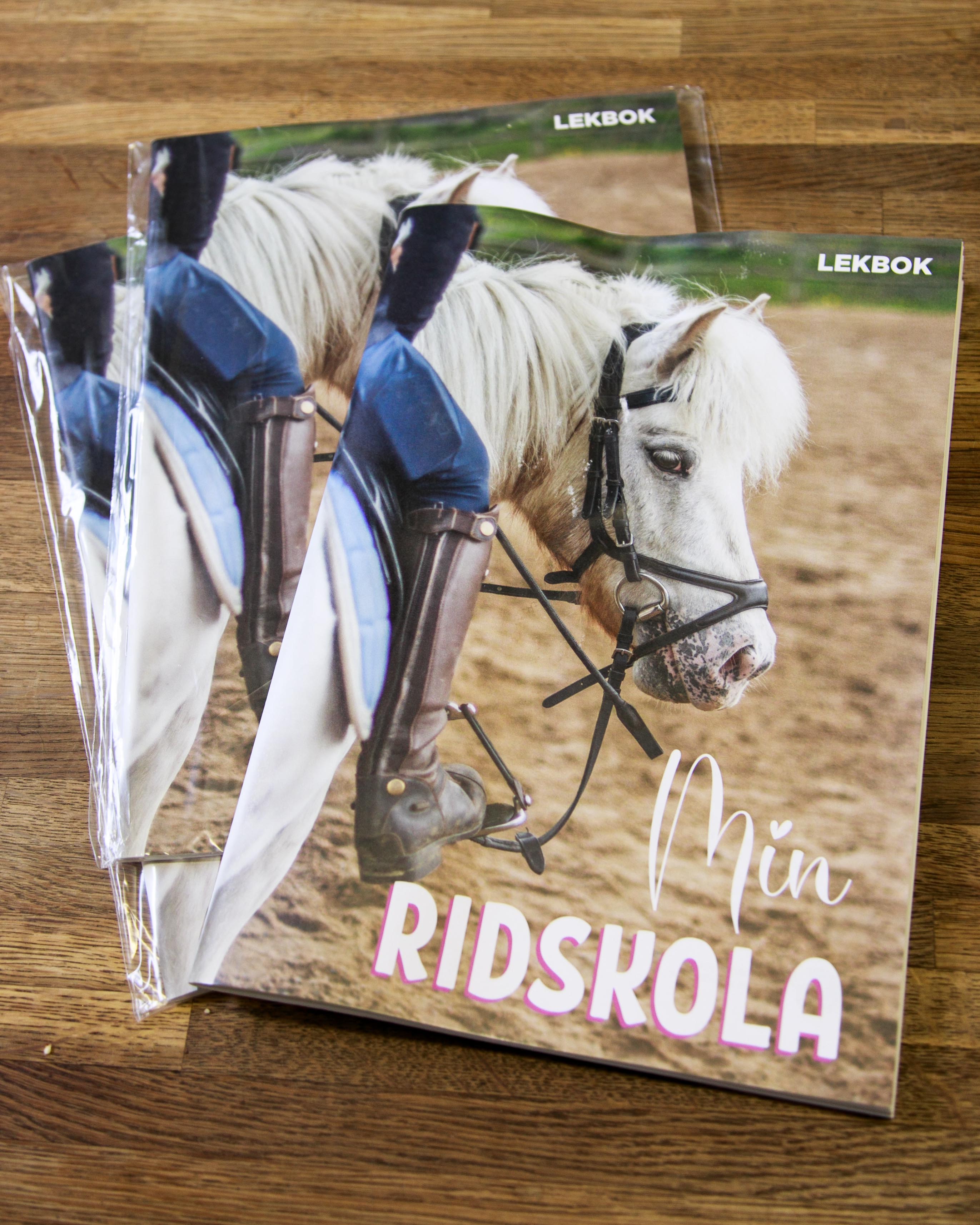 Bok Min ridskola