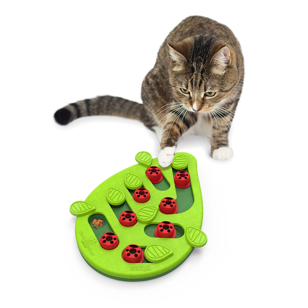 kattpussel hundpussel mataktivering katt hund