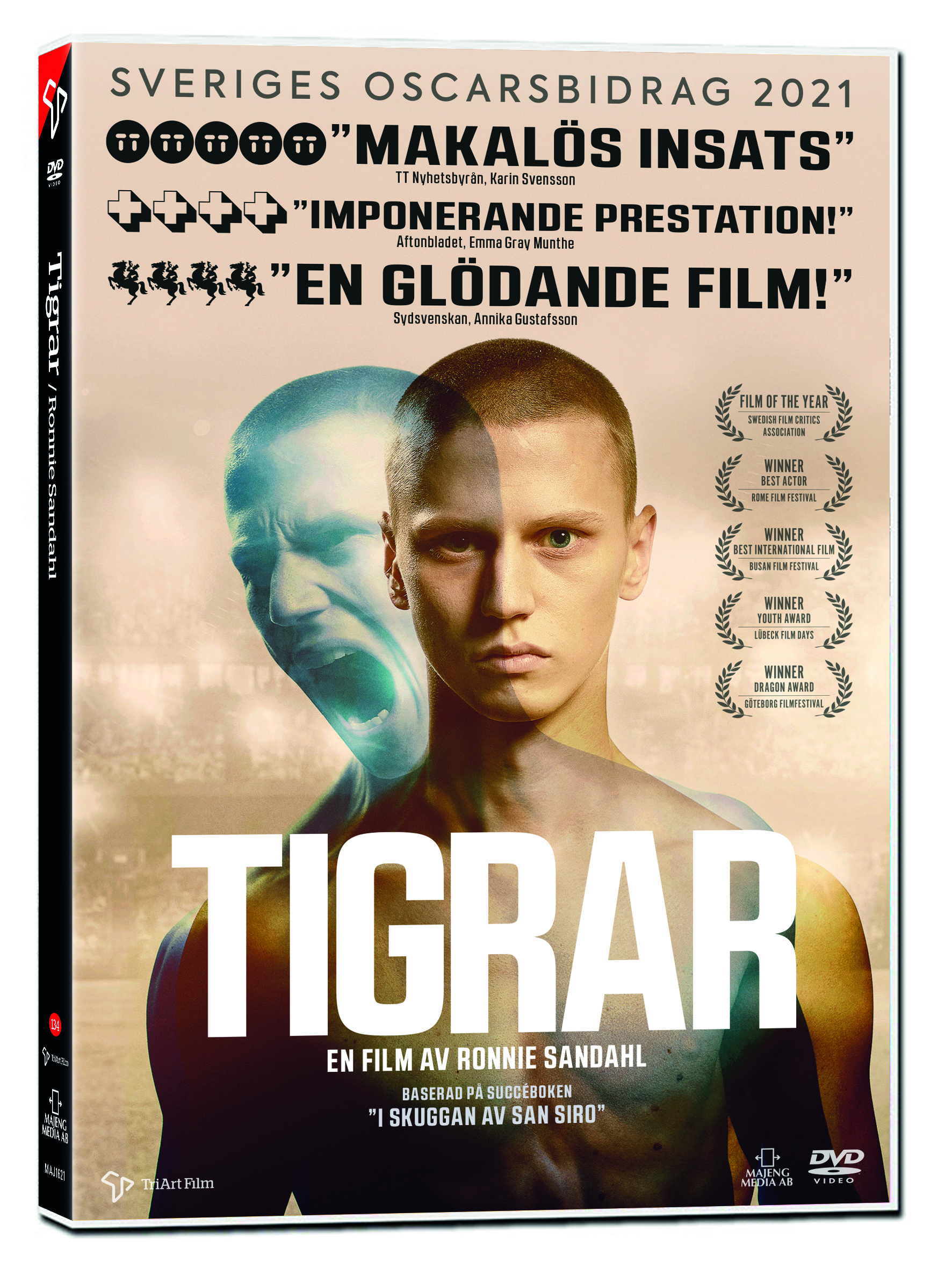 Tigrar