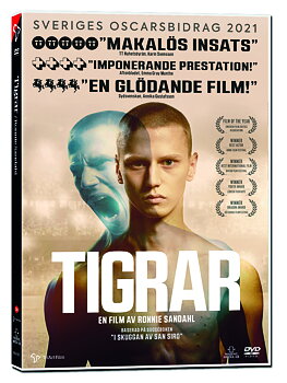 Tigrar