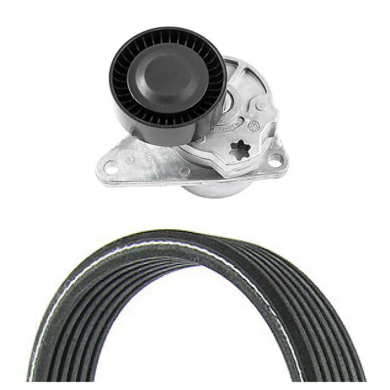 Drive belt kit