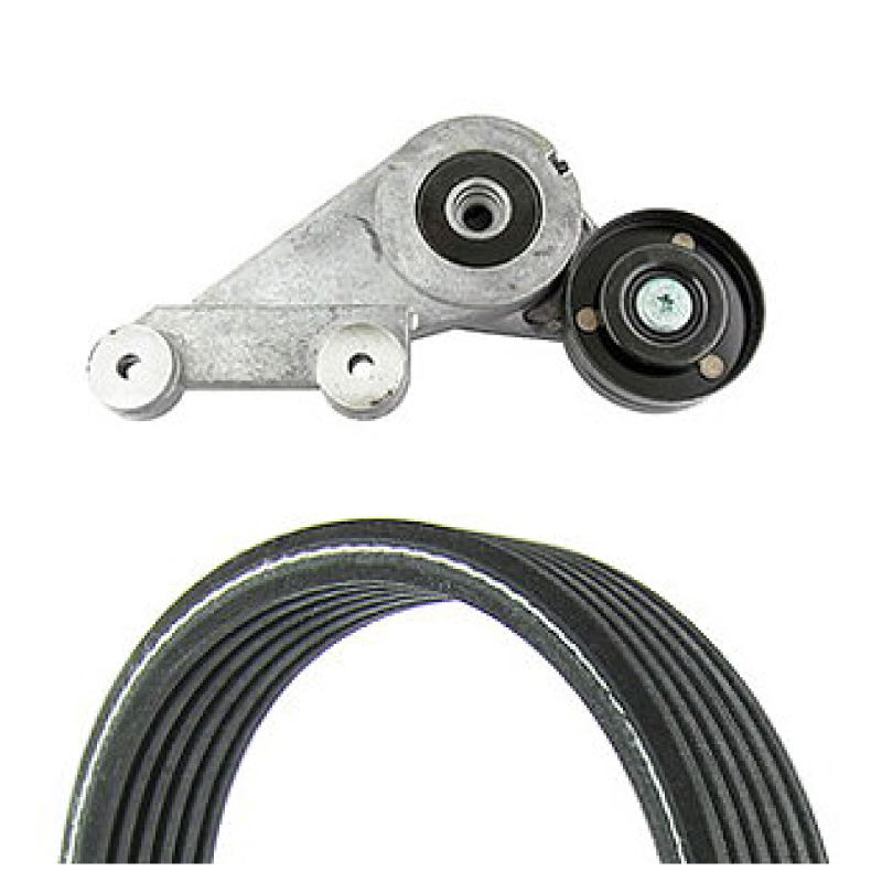 Drive belt kit