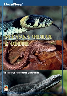 Svenska ormar & ödlor
