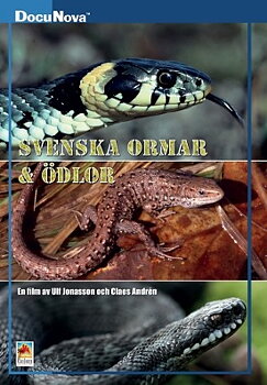 Svenska ormar & ödlor