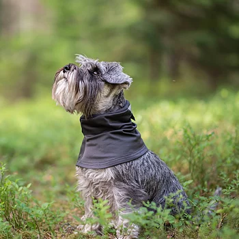 Pomppa Huppu tubhalsduk till hund