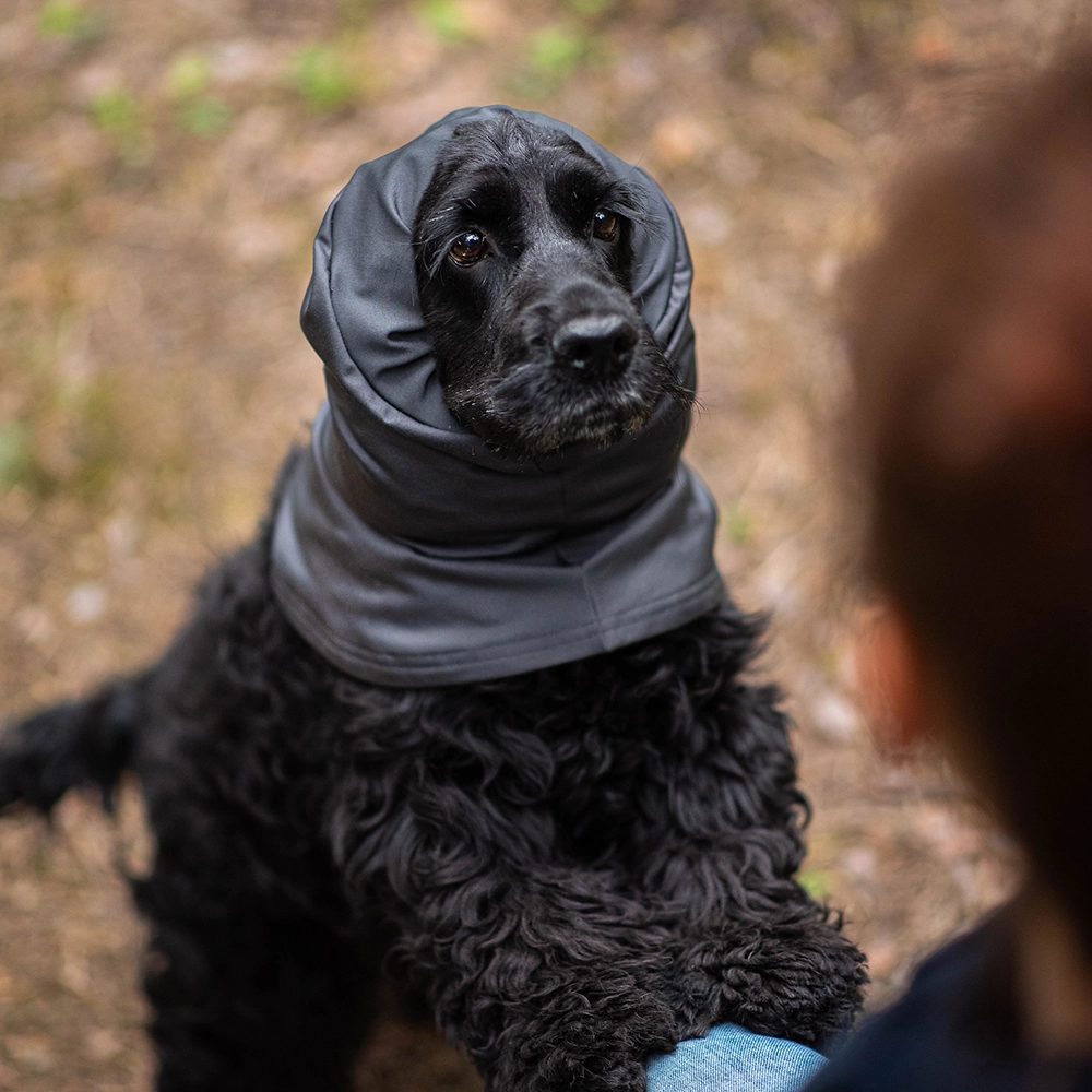 Pomppa Huppu dog neck warmer - 2