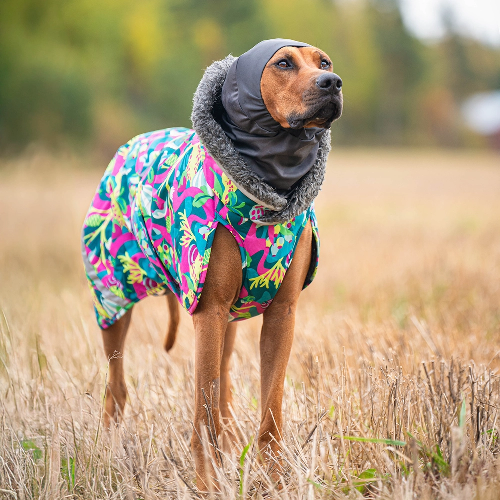 Pomppa Huppu dog neck warmer - 3